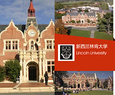 林肯大学