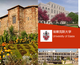 埃塞克斯大学