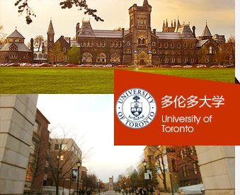 多伦多大学